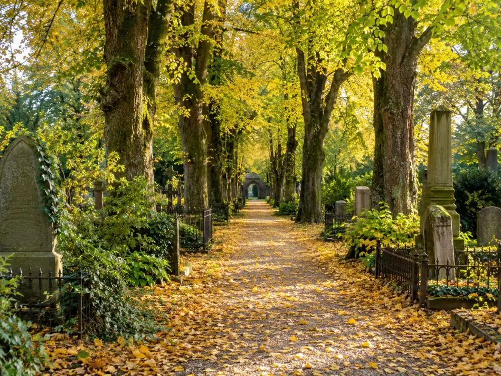 Gravestones under old trees at Assistens Cemetery in N&oslash;rrebro